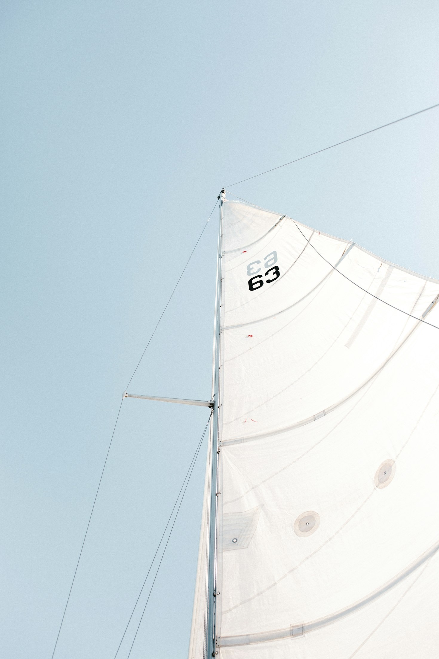 The Art of Business Navigation: Insights from Sailing